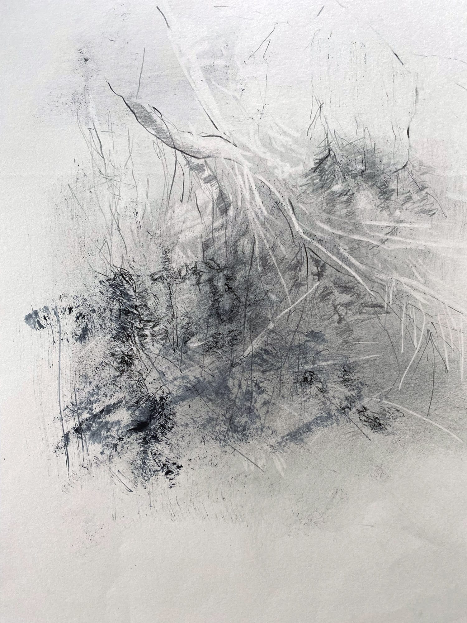 Zeichnung-sw-graphit auf papier-59,7x42cm